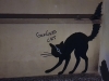 lviv-gangstacat-2019-09-25-21.40.13-©adrianstorey