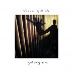 Steve Gullick - Gullogram - Book cover