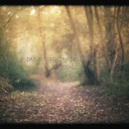 Ed Boxall - Dance Beneath A Diamond Sky (Music Video)